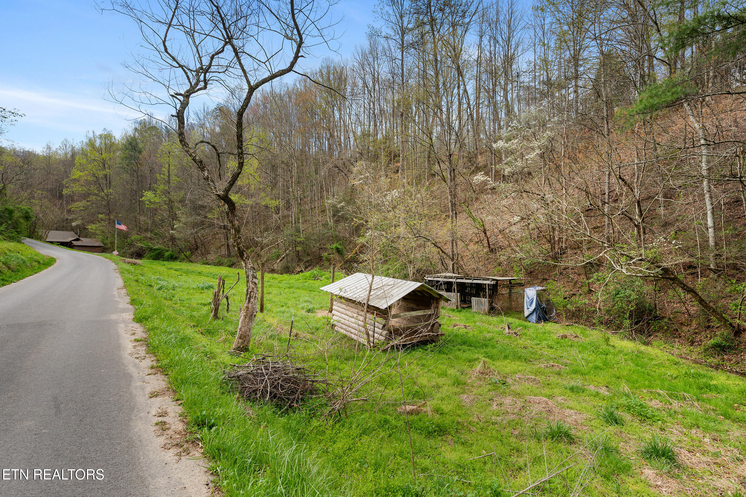 4346 Grindstone Ridge Road Pigeon Forge, TN 37863 - Photo 6 of 43 3_4346 grindstone 003