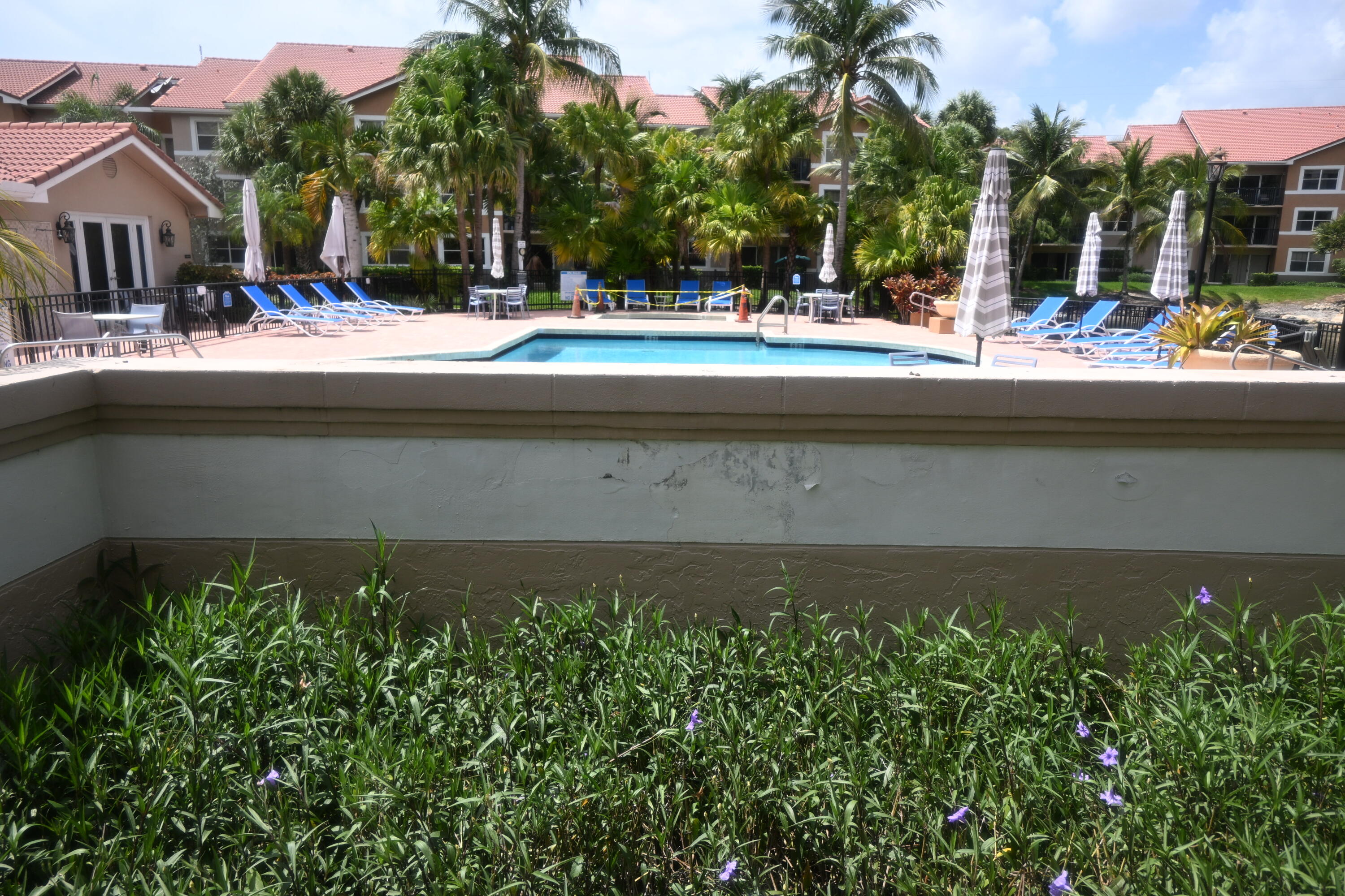 8721 Wiles Road, Unit 305 Coral Springs, FL 33067 - Photo 57 of 73 DSC_2062
