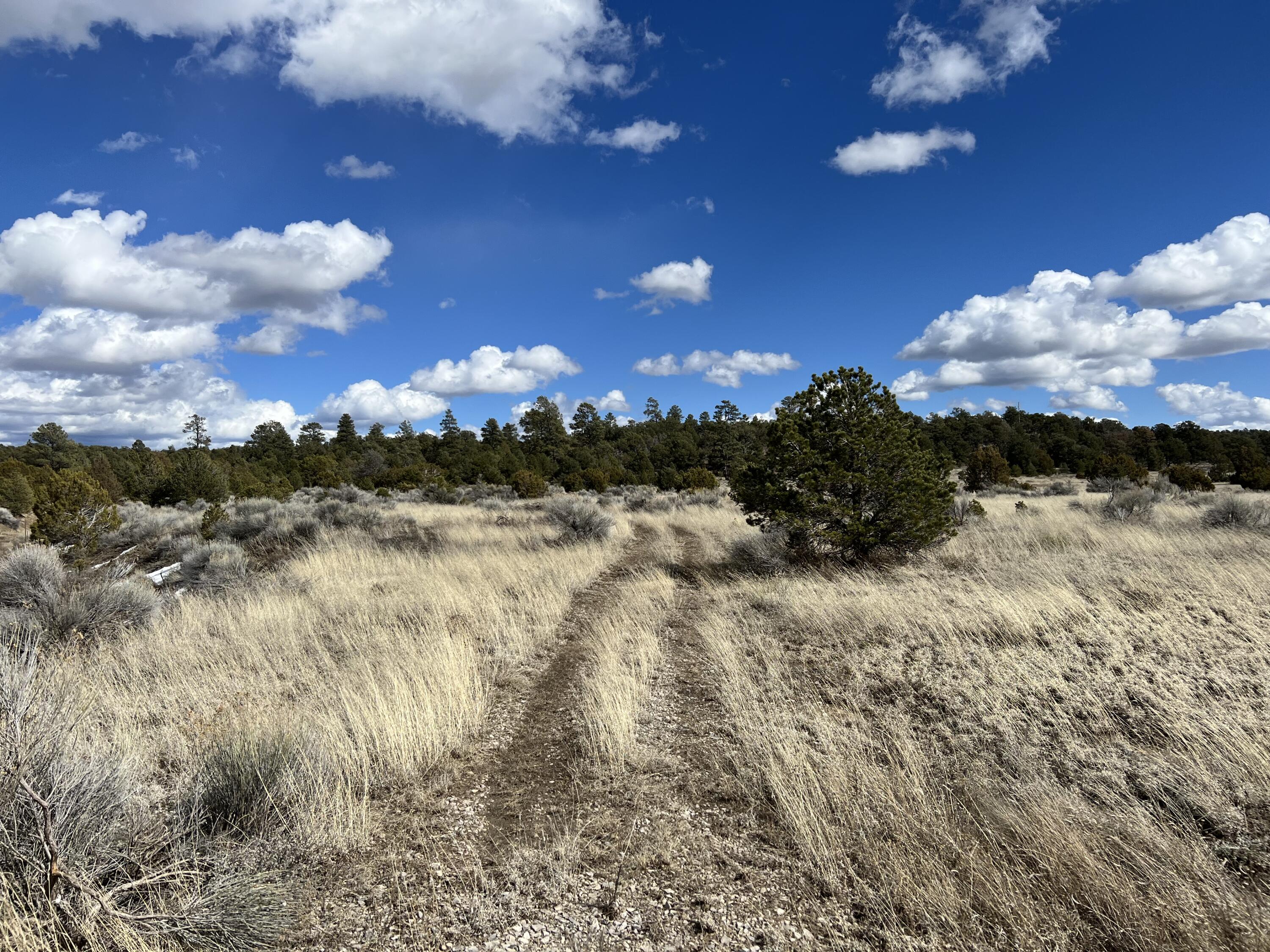 Lot 14 Candy Kitchen Road Ramah, NM 87357 - Photo 25 of 41 Gallery Image 25