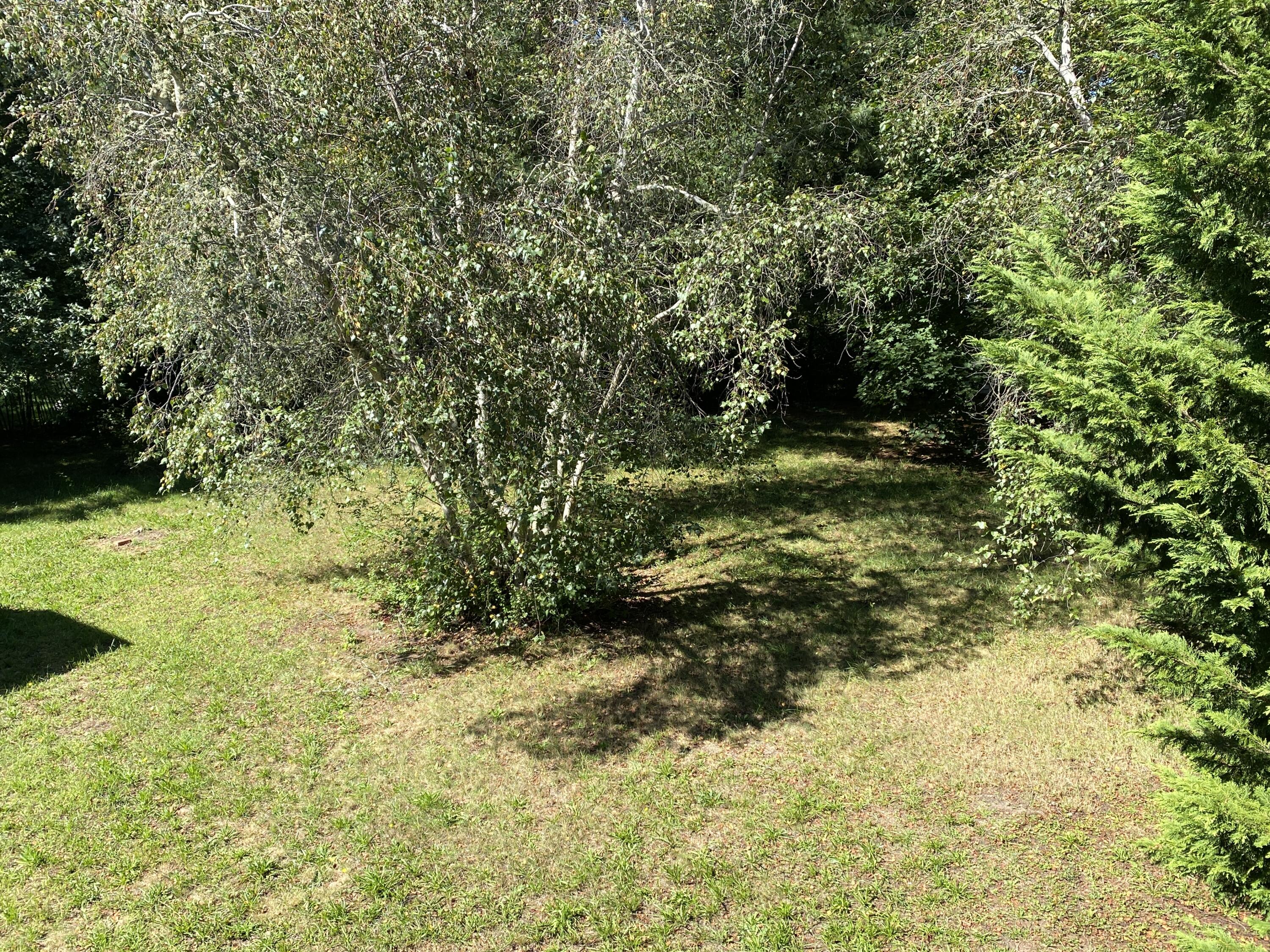 25 Ripple Cove Road Hyannis, MA 02601 - Photo 11 of 38 a view of a yard with large trees