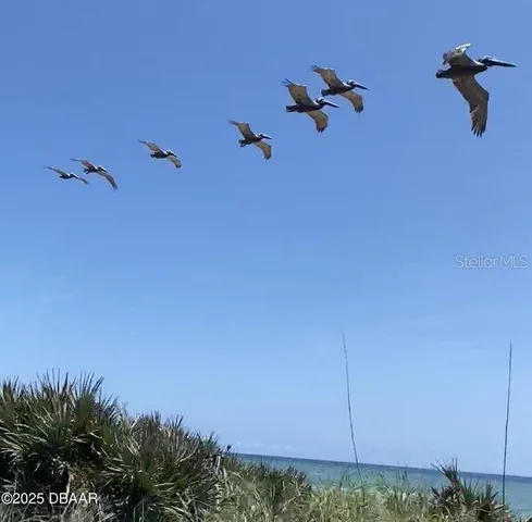 $319,000 | 3000 Ocean Shore Boulevard, Unit 150, Ormond Beach, FL 32176