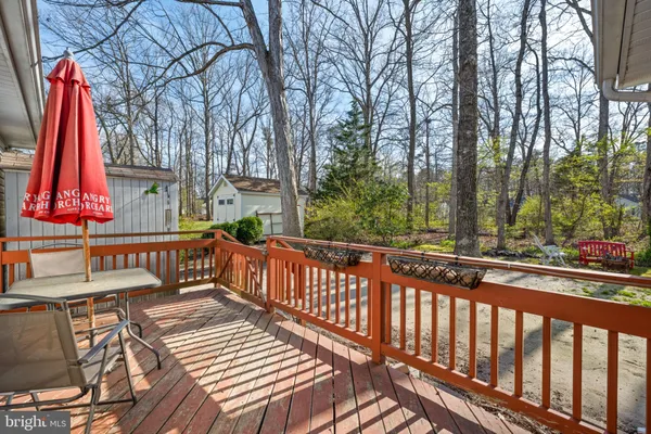 a living room with a bed furniture and a window