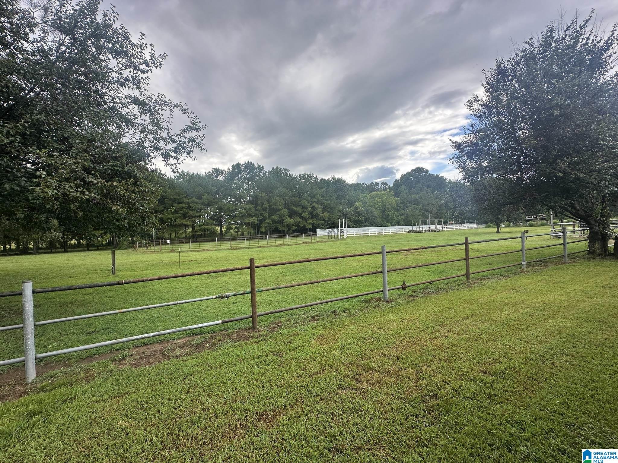 319 Kymulga Road Childersburg, AL 35044 - Photo 53 of 58