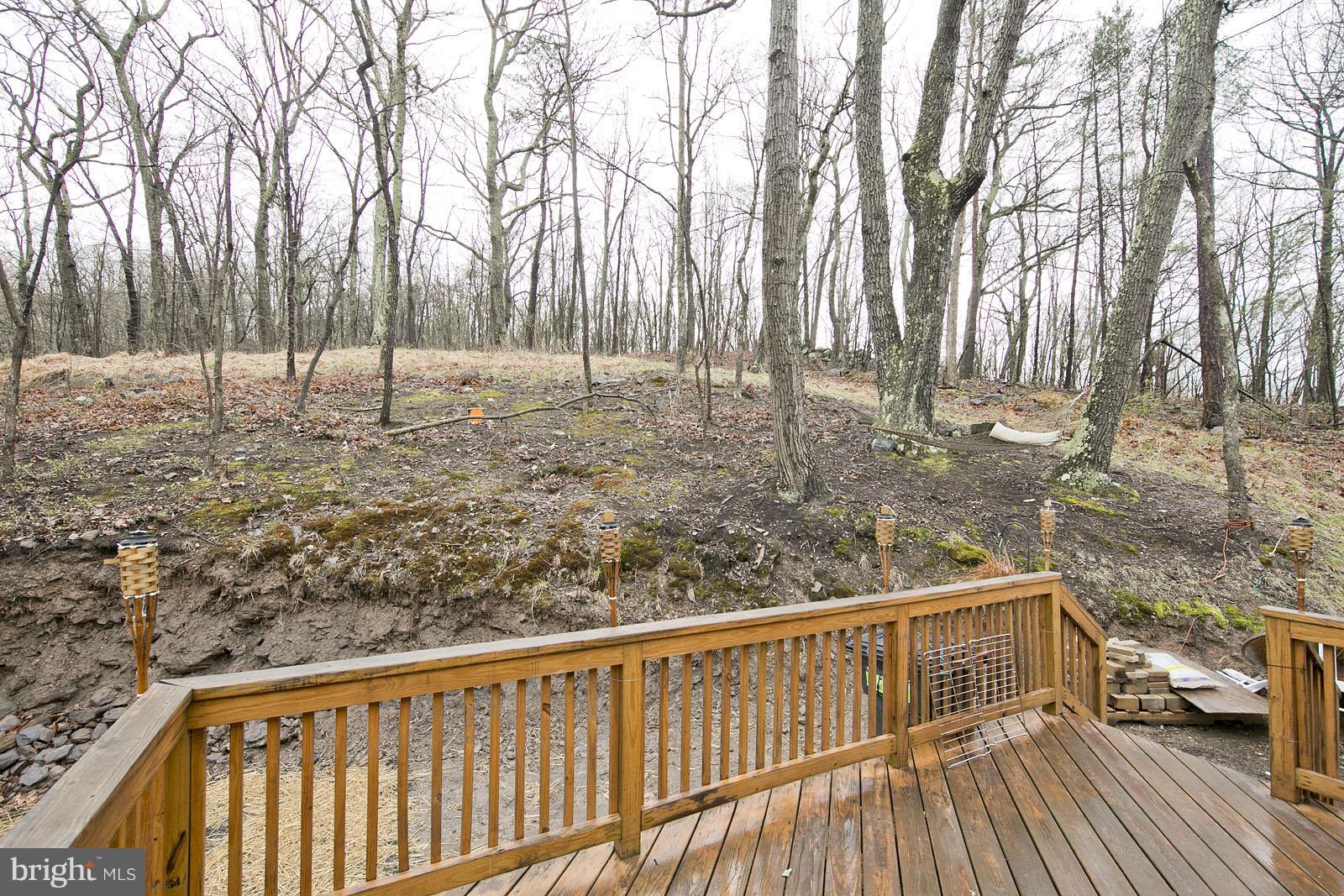 1440 Drummer Hill Road Front Royal, VA 22630 - Photo 2 of 30 Exterior (Rear)
