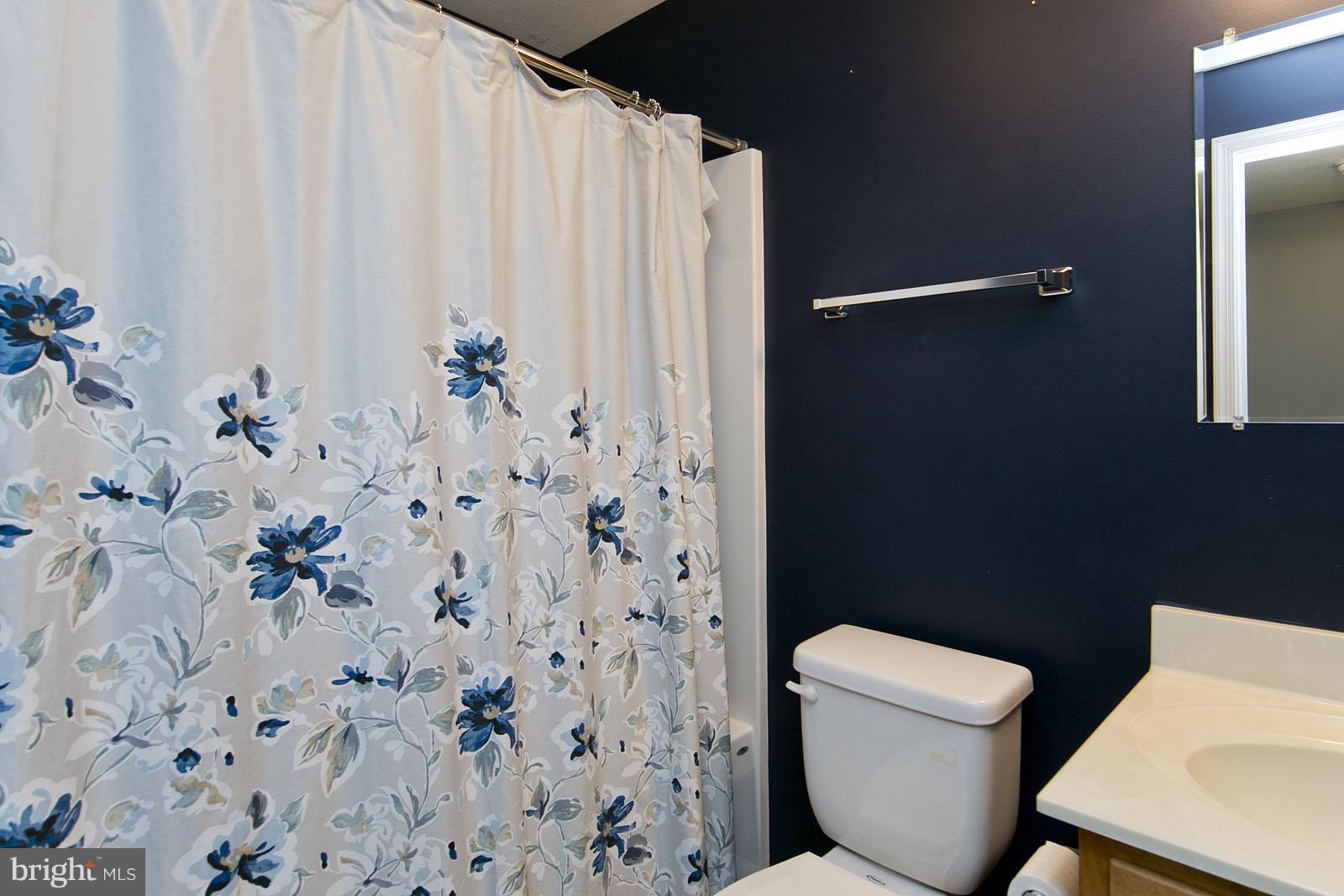 1440 Drummer Hill Road Front Royal, VA 22630 - Photo 27 of 30 Bath lower level