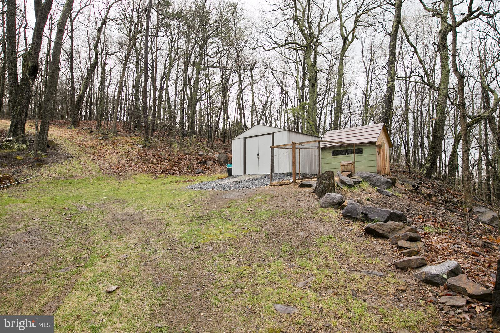 1440 Drummer Hill Road Front Royal, VA 22630 - Photo 29 of 30 Exterior side yard with shed