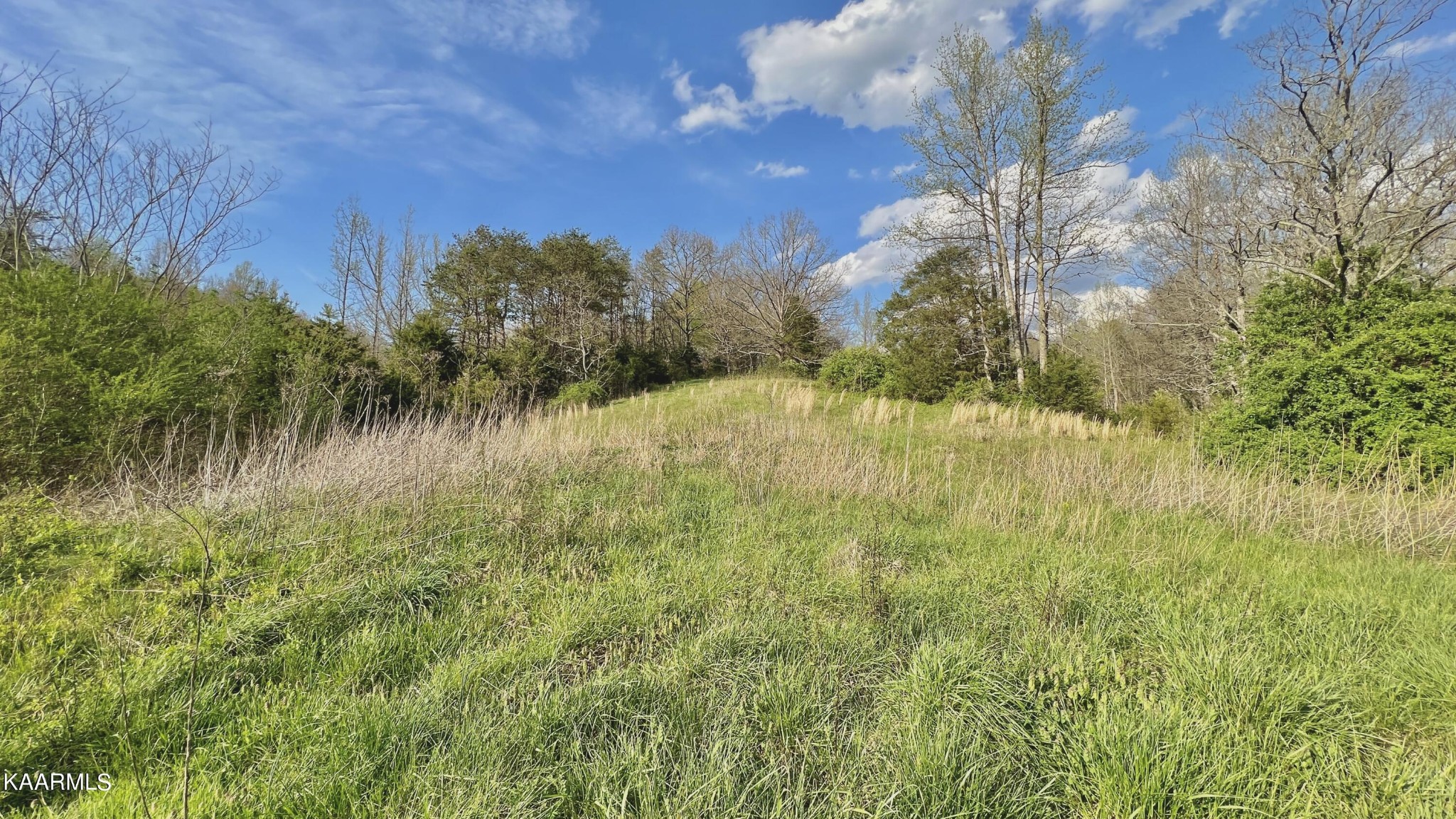 1560 Dripping Springs Road Seymour, TN 37865 - Photo 20 of 46