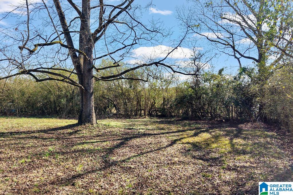 117 Mooney Road Columbiana, AL 35051 - Photo 47 of 56