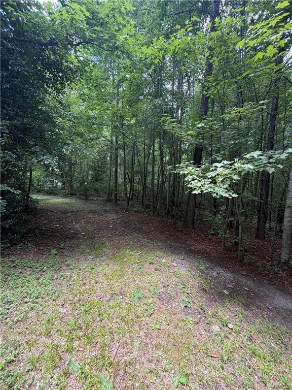 8915 Cedar Grove Road Fairburn, GA 30213 - Photo 5 of 5