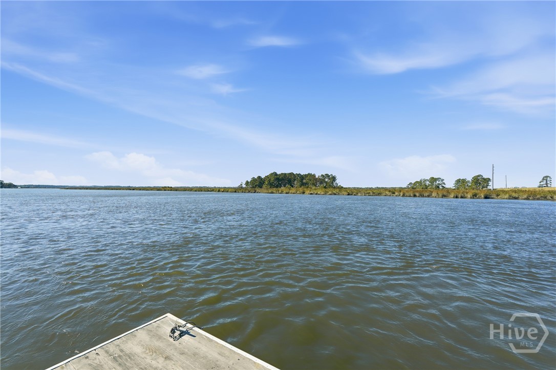 9 Brewster Street Savannah, GA 31419 - Photo 2 of 37