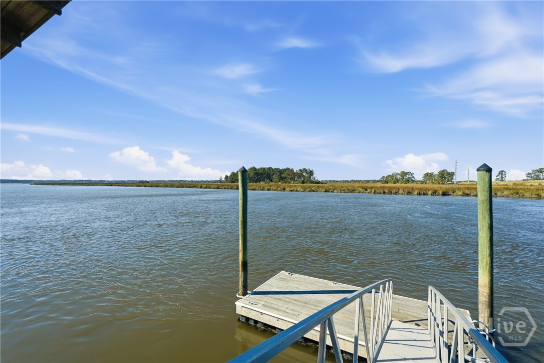 9 Brewster Street Savannah, GA 31419 - Photo 4 of 37