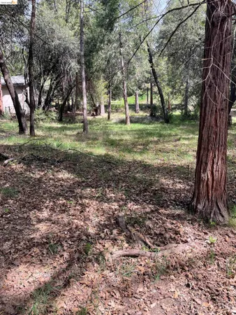 $25,000 | 16594 Creekside Drive, Sonora, CA 95370
