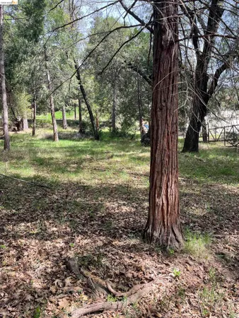 $25,000 | 16594 Creekside Drive, Sonora, CA 95370