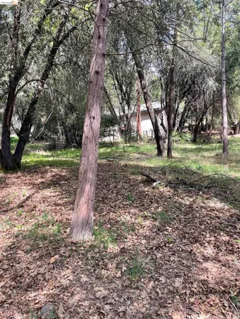 $25,000 | 16594 Creekside Drive, Sonora, CA 95370