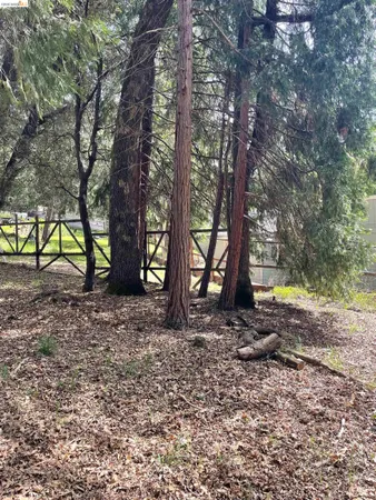 $25,000 | 16594 Creekside Drive, Sonora, CA 95370