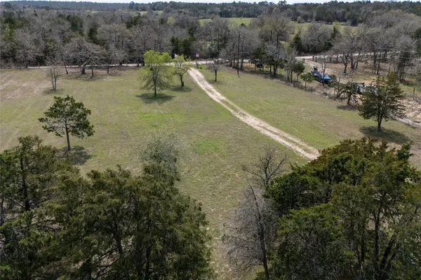 a view of a yard with trees