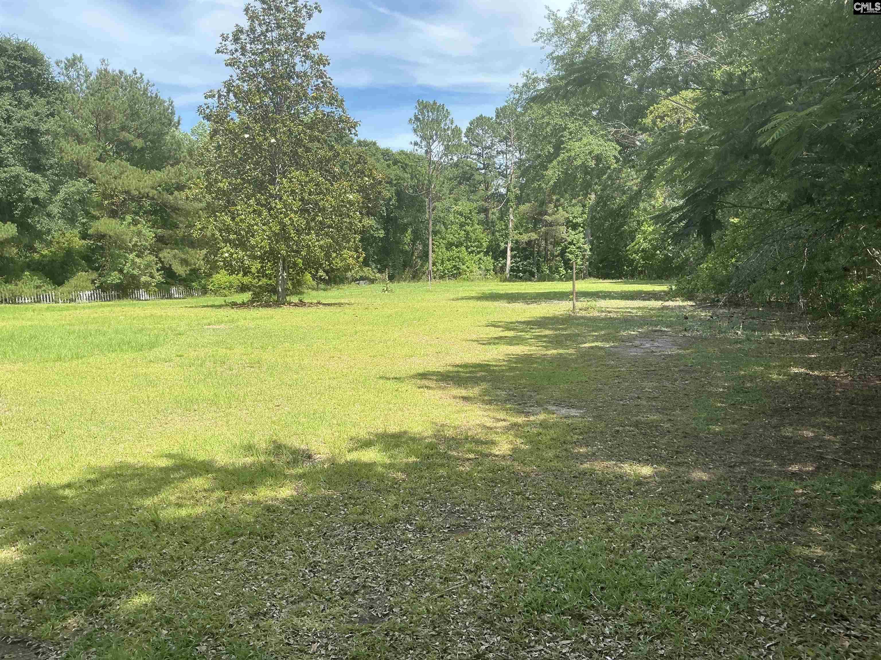 495 Majority Road Orangeburg, SC 29118 - Photo 3 of 5