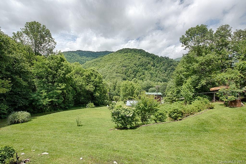 95 Straightup Road Maggie Valley, NC 28751 - Photo 21 of 24 a view of a green field with lots of bushes