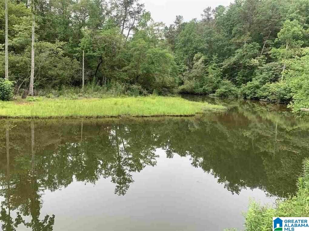 35 County Road 710 Verbena, AL 36091 - Photo 7 of 12