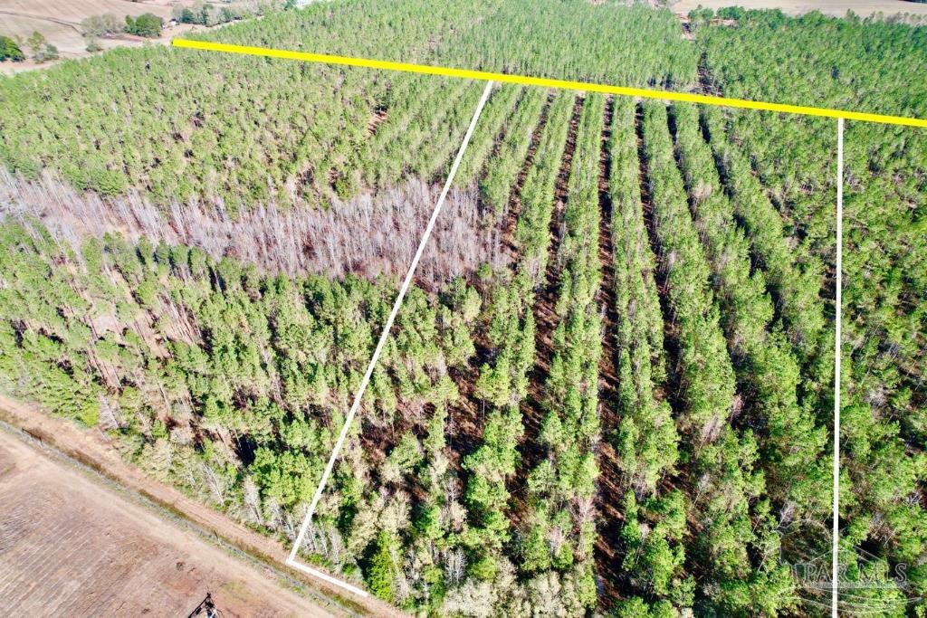 Lot 3 Denali Road Jay, FL 32565 - Photo 7 of 21