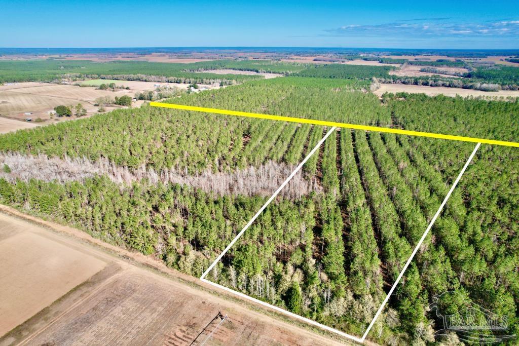 Lot 3 Denali Road Jay, FL 32565 - Photo 8 of 21