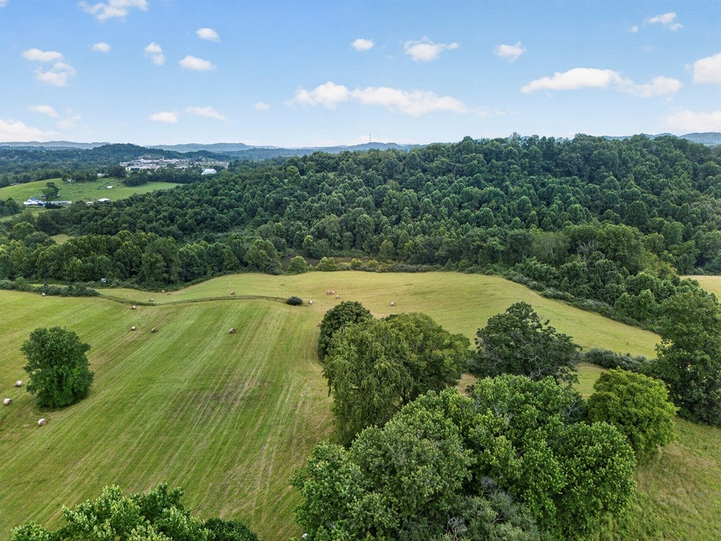 Tbd Walton Ridge Road Bristol, VA 24202 - Photo 56 of 60 Gallery Image 56