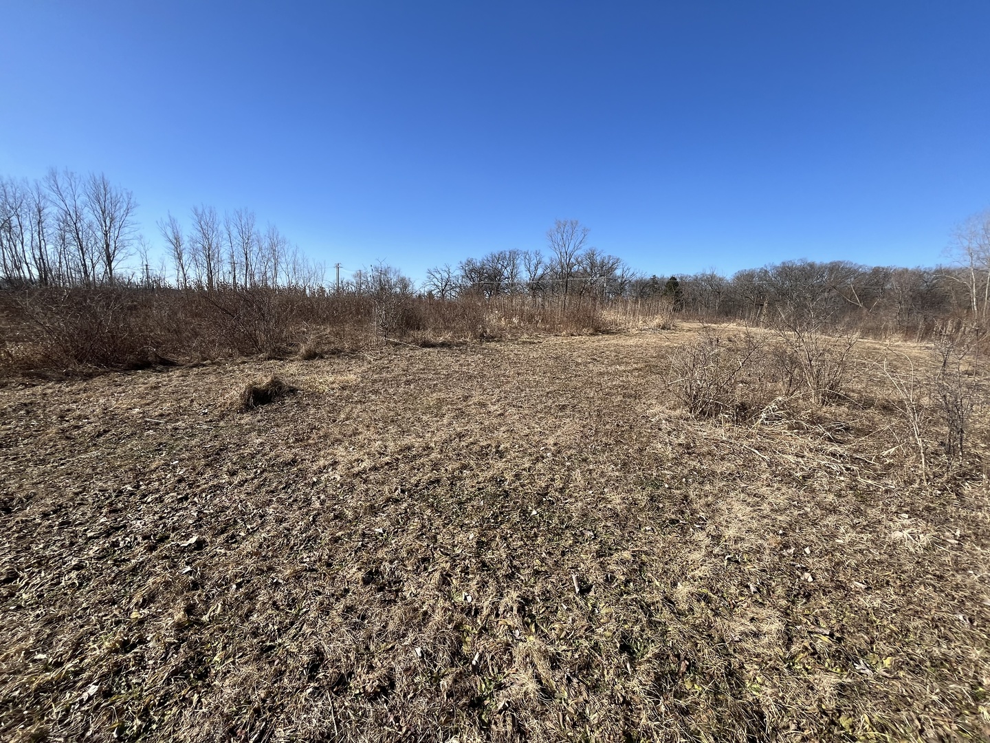 39155 North Dilleys Road Wadsworth, IL 60083 - Photo 6 of 13 Gallery Image 6