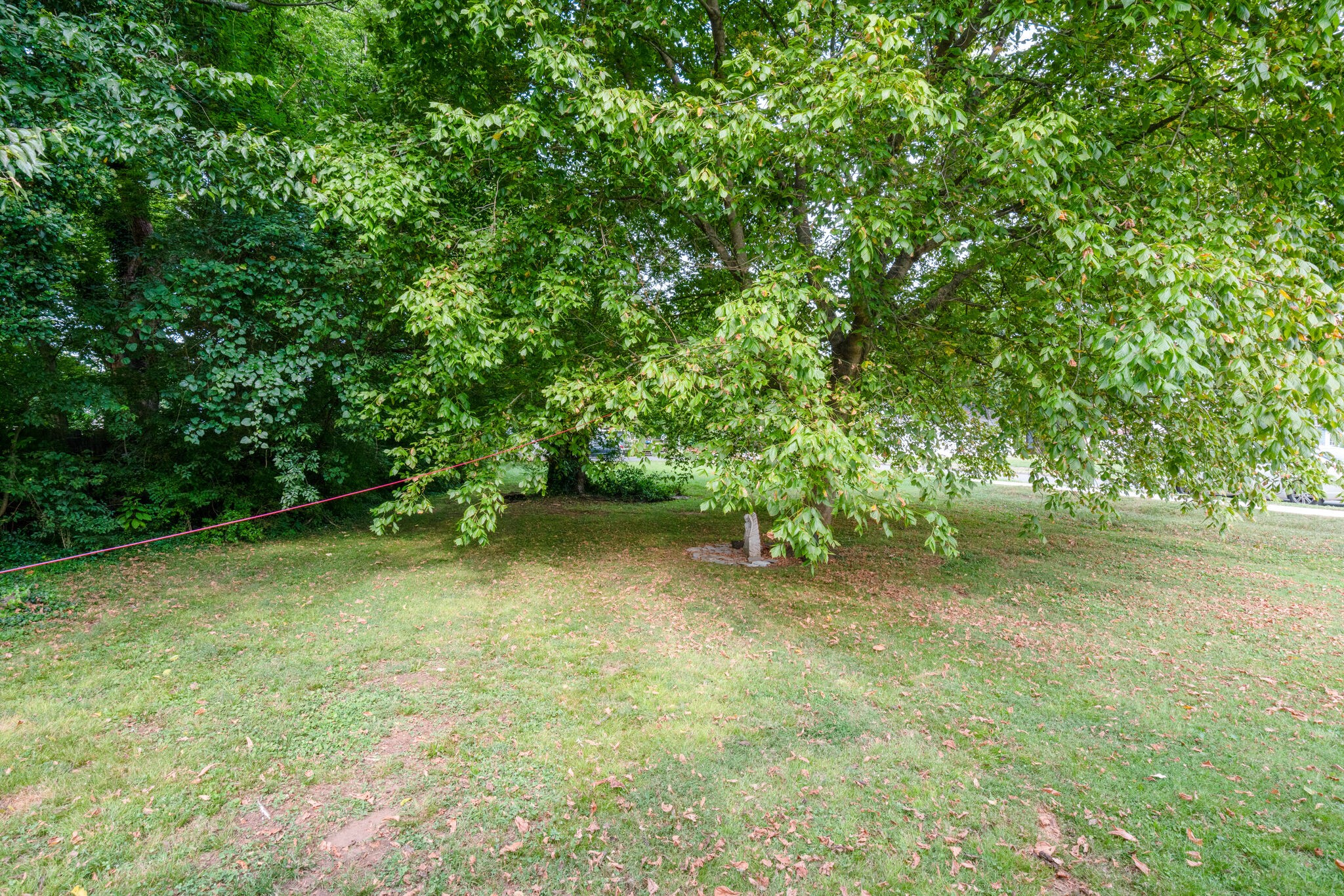 911 North Spring Street Murfreesboro, TN 37130 - Photo 29 of 30 Gallery Image 29