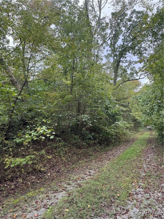 0 Liberty Road Nathalie, VA 24577 - Photo 1 of 4 View of woods