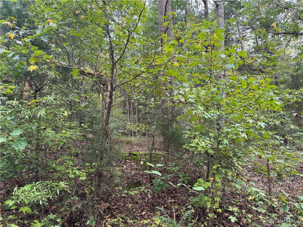 0 Liberty Road Nathalie, VA 24577 - Photo 2 of 4 View of wooded area