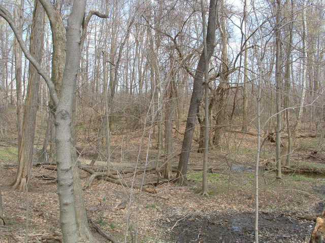 0 Northwest Allen Road Pickerington, OH 43147 - Photo 3 of 6