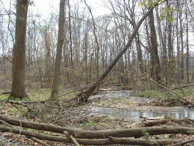 0 Northwest Allen Road Pickerington, OH 43147 - Photo 4 of 6