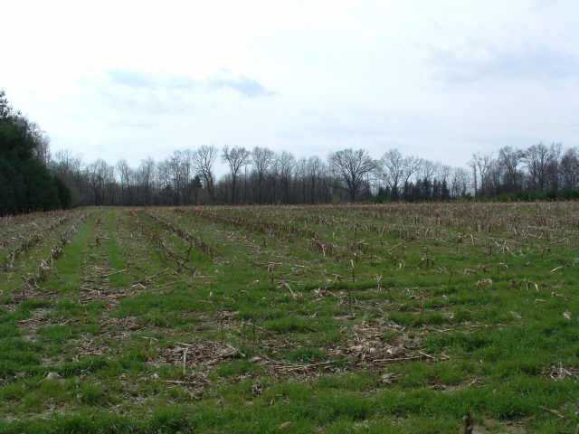0 Northwest Allen Road Pickerington, OH 43147 - Photo 5 of 6