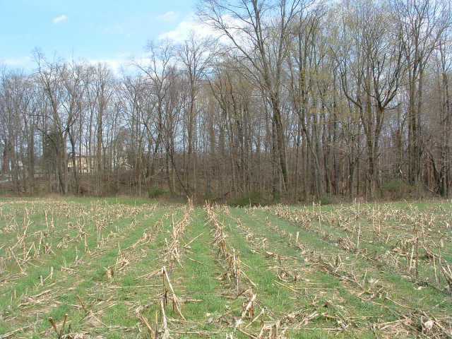 0 Northwest Allen Road Pickerington, OH 43147 - Photo 6 of 6