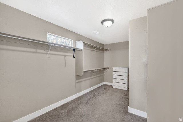 14714 South Bright Wood Road Herriman, UT 84096 - Photo 24 of 41 Primary bedroom Spacious closet featuring light carpet