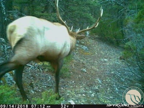 1 Rd Other Mount Toston, MT 59643 - Photo 15 of 19 Gallery Image 15