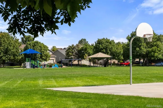 a view of a park with large trees