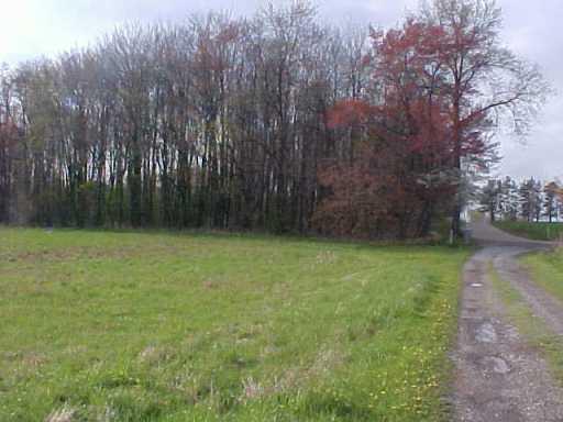 Lot 4-240) Riemer Road Sarver, PA 16055 - Photo 3 of 4 Other.
