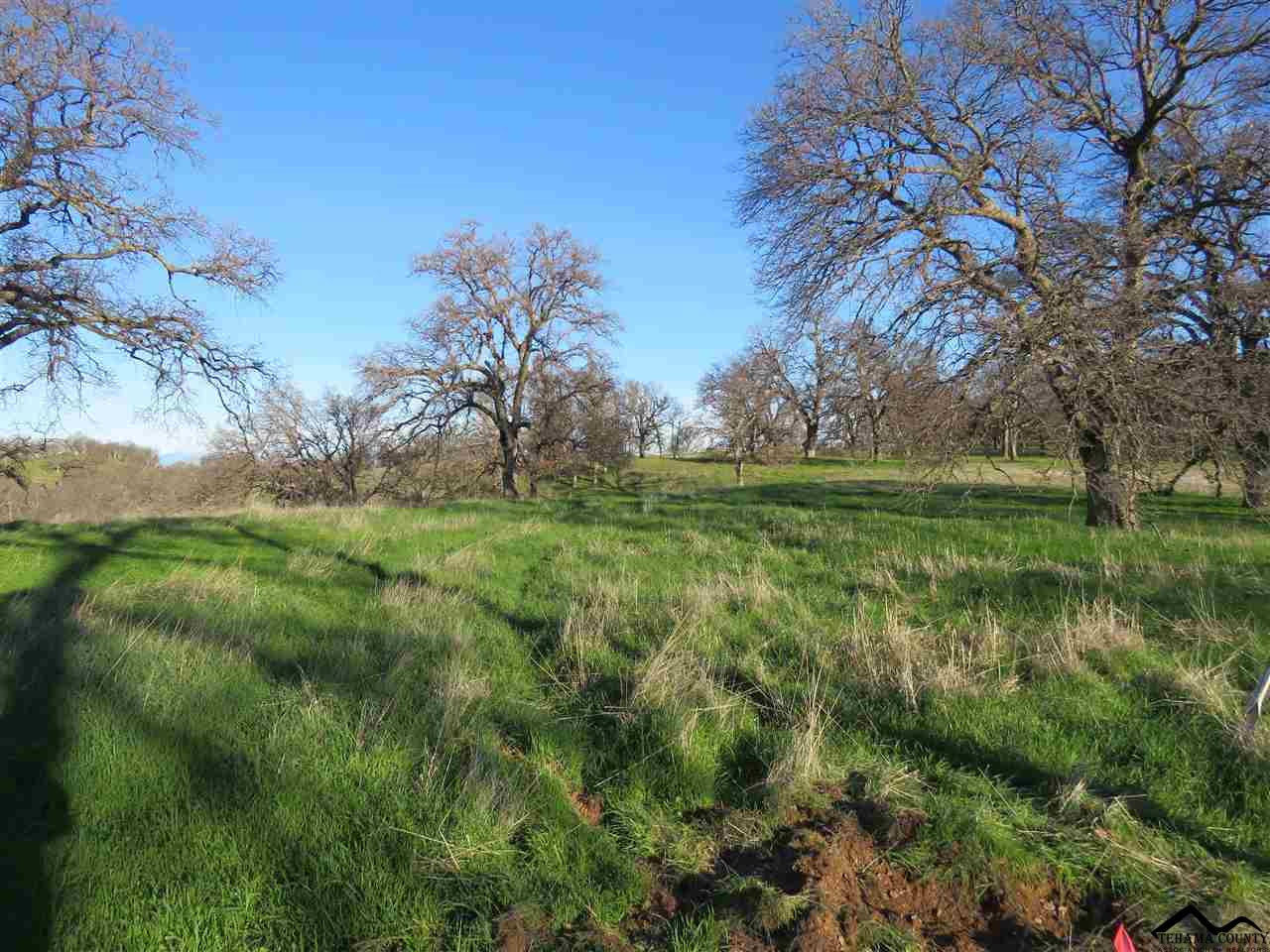 Zz Deer Valley Road Red Bluff, CA 96080 - Photo 3 of 5