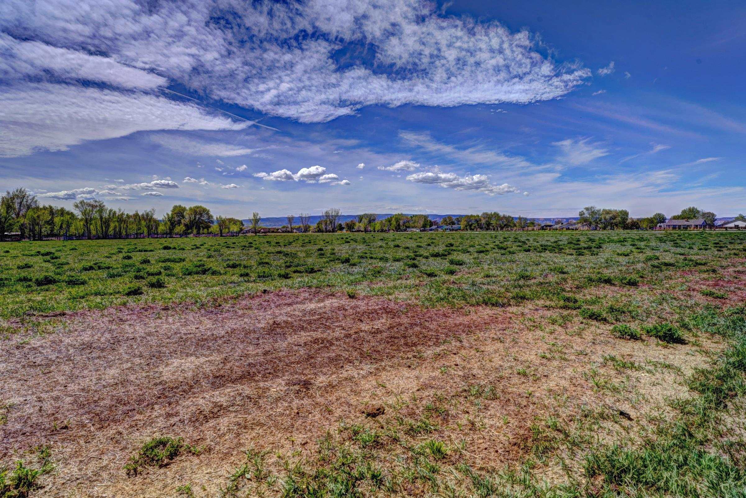 649 33 Road Clifton, CO 81520 - Photo 19 of 36