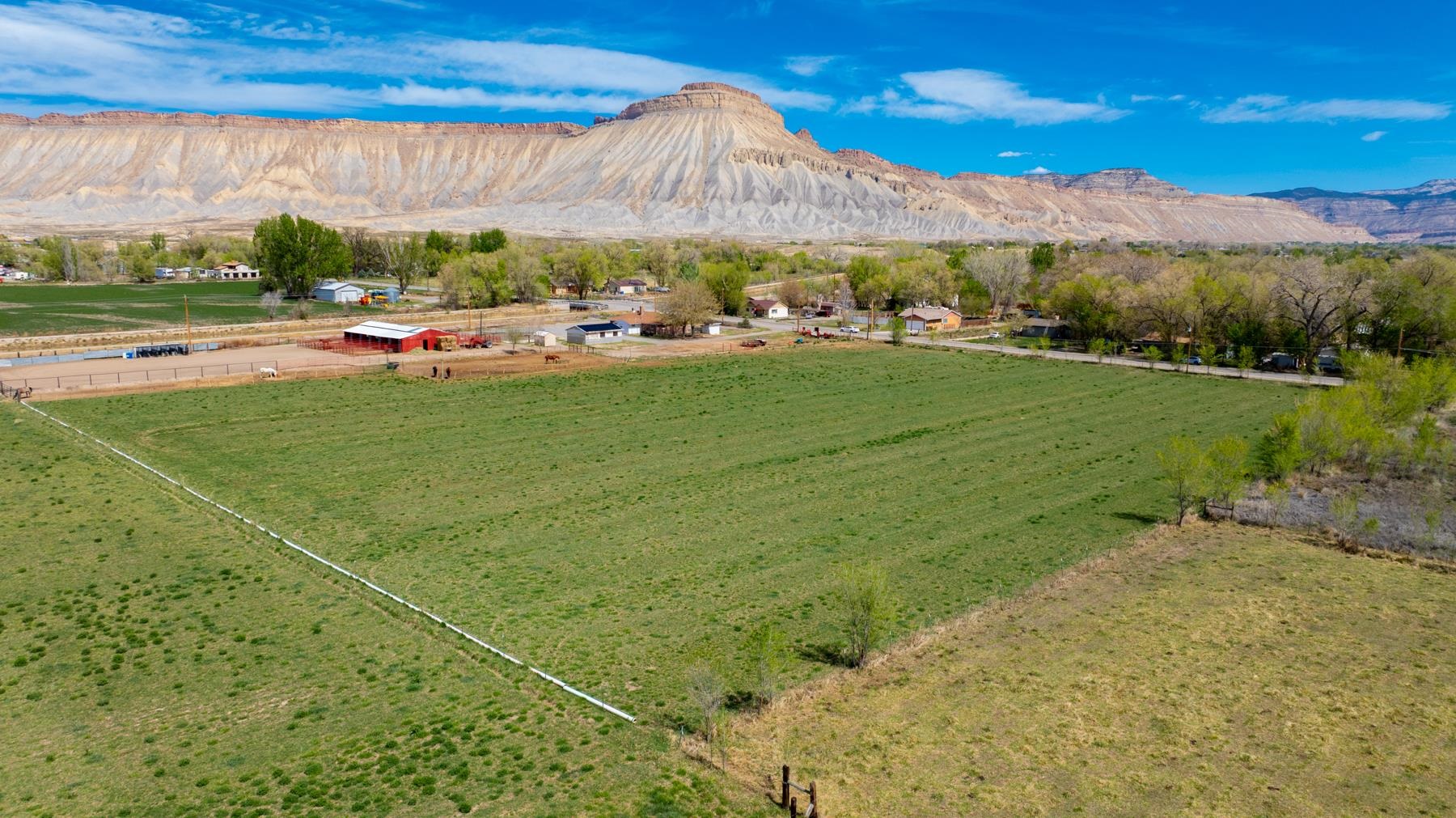 649 33 Road Clifton, CO 81520 - Photo 4 of 36