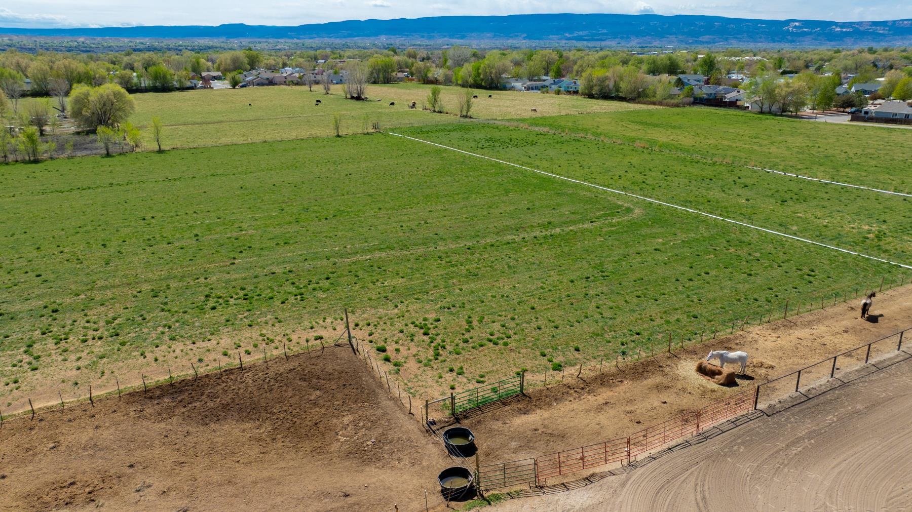 649 33 Road Clifton, CO 81520 - Photo 9 of 36