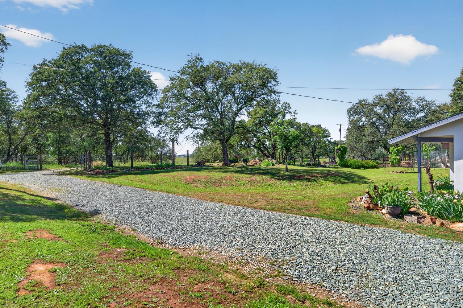 15828 Barney Road Plymouth, CA 95669 - Photo 54 of 71 a view of a house with a big yard