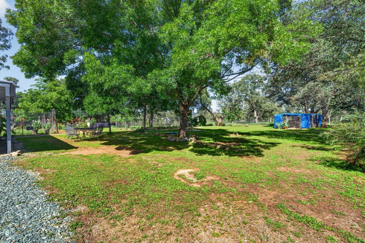 15828 Barney Road Plymouth, CA 95669 - Photo 56 of 71 a view of a park with large trees