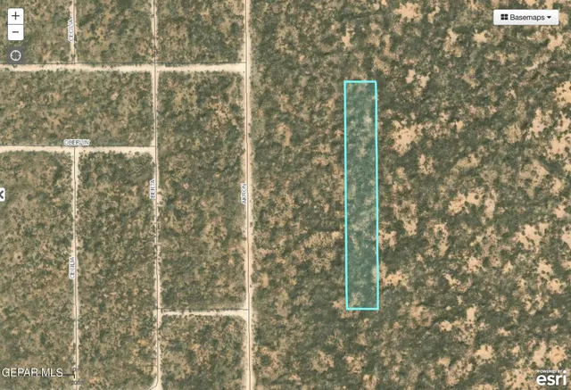 a view of a yard from the view