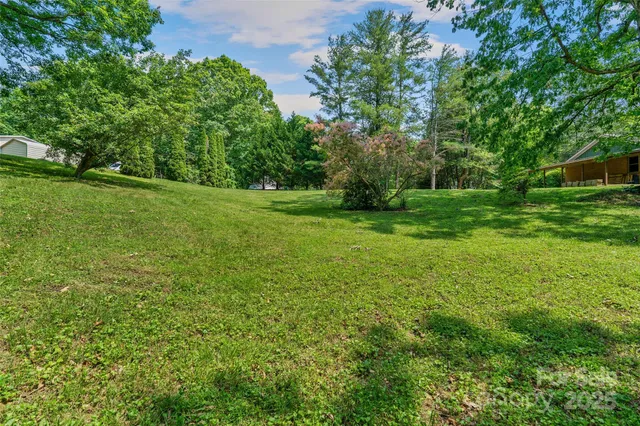 a view of a grassy field with trees
