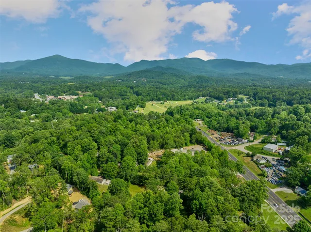 a view of a city and lush green forest