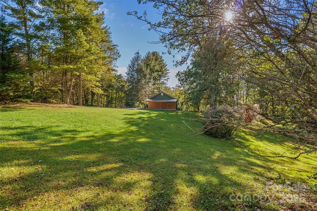a view of a park that has large trees