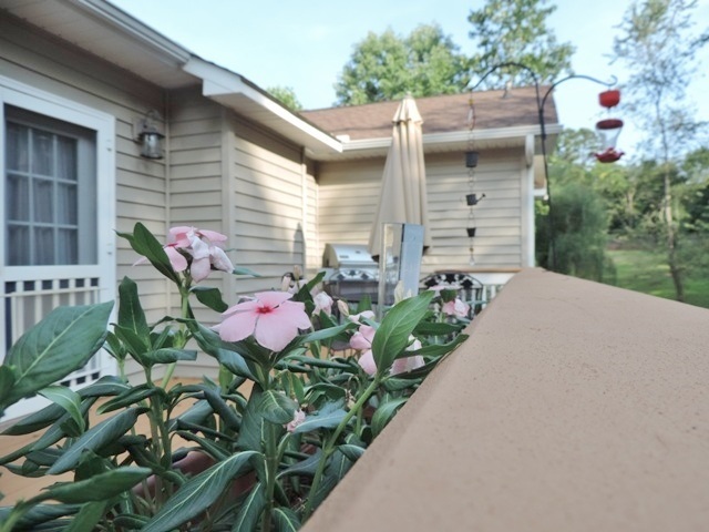 105 Red Cardinal Road Seneca, SC 29672 - Photo 23 of 26 Gallery Image 23