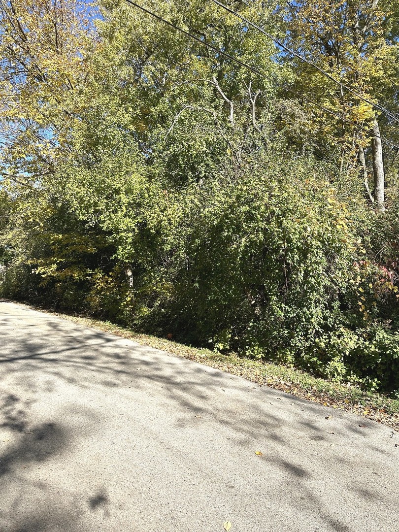10843 West Edgewood Road Beach Park, IL 60087 - Photo 2 of 4